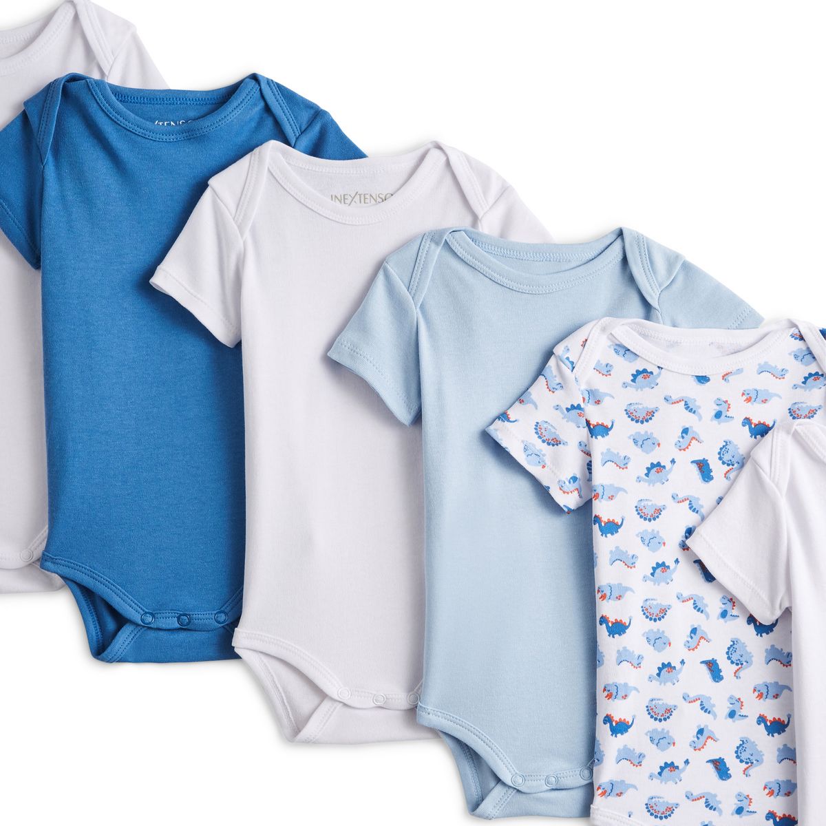 INEXTENSO Lot de 6 bodies manches courtes dinosaures bébé garçon