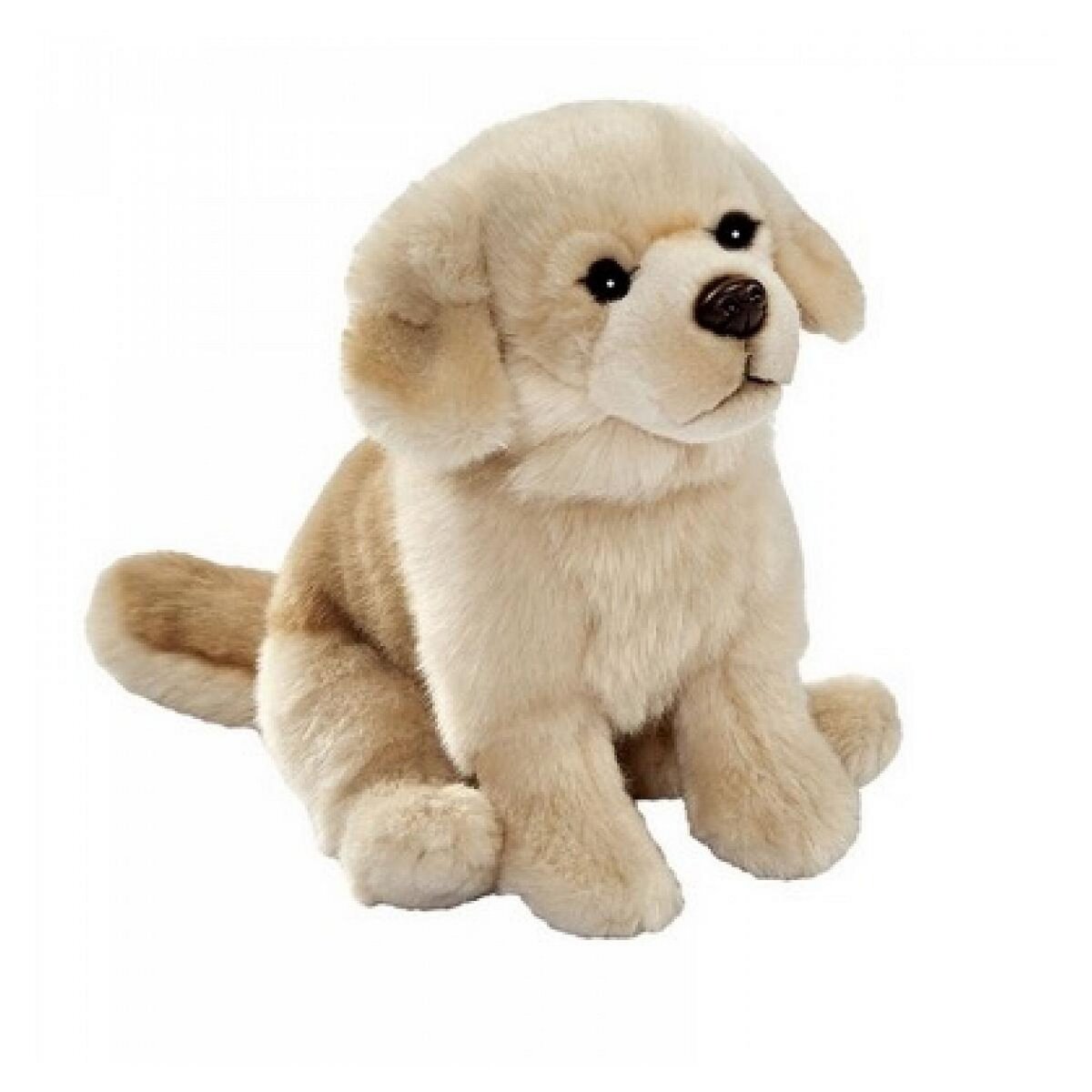 Anima Peluche Golden Assis 30 cm - Douceur et Confort pour Enfants
