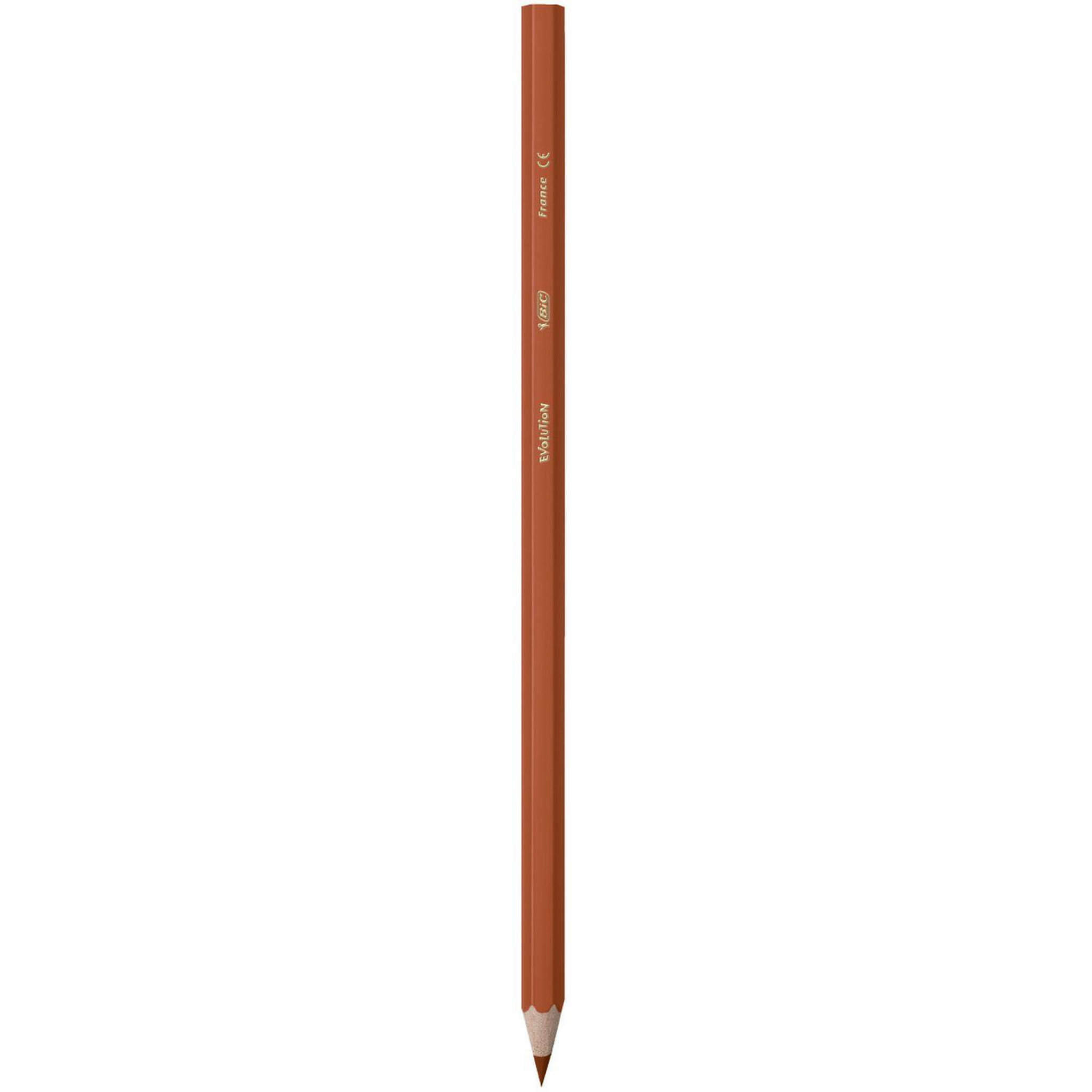Voir la diapositive 7 : BIC Etui de 24 crayons de couleur Kids Evolution