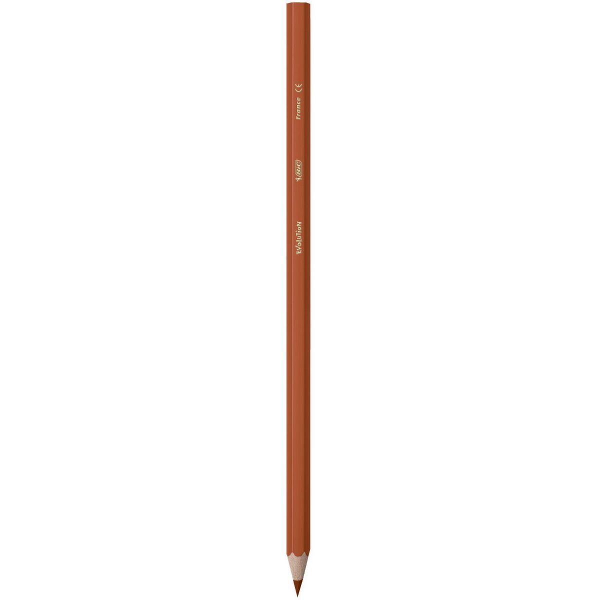 BIC Etui de 24 crayons de couleur Kids Evolution