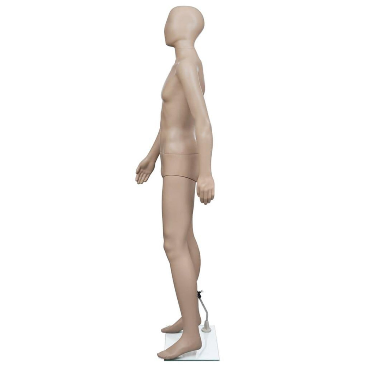 VIDAXL Mannequin de vitrine Homme Tete ronde