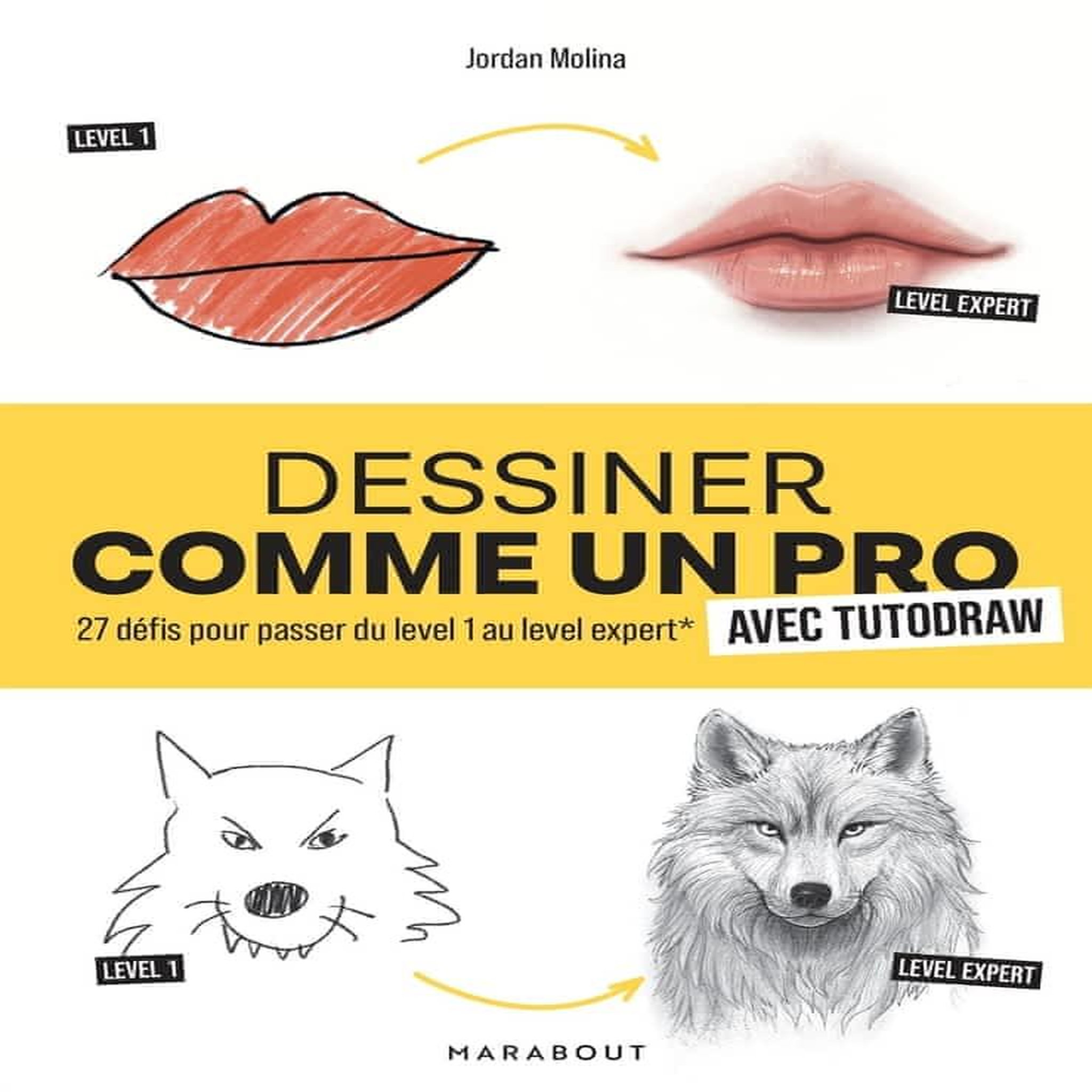 DESSINER COMME UN PRO AVEC TUTODRAW. 27 DEFIS POUR PASSER DU LEVEL 1 AU LEVEL EXPERT, Molina Jordan