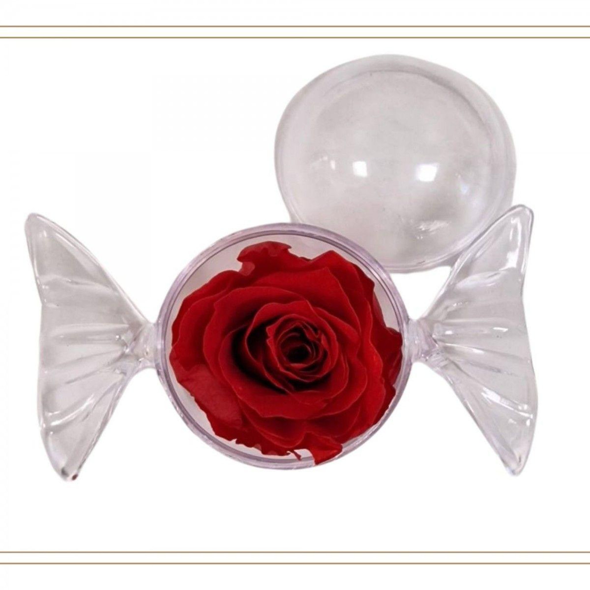 SC CRYSTAL Bonbon décoré d'une rose éternelle - stabilisée