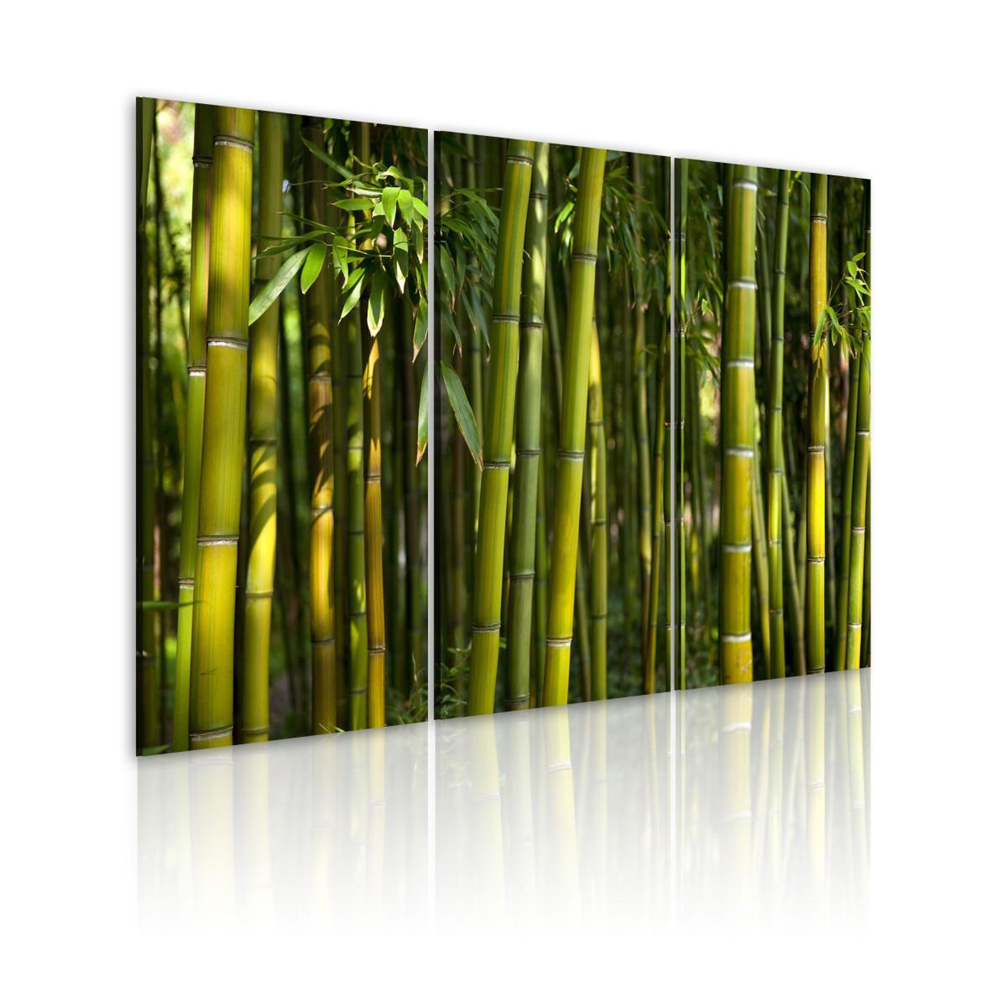 Paris Prix Tableau imprimé  bambou & vert  40x60cm