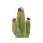 Voir la diapositive 4 : Paris Prix Cactus Déco en Résine  Jeffery  25cm Vert