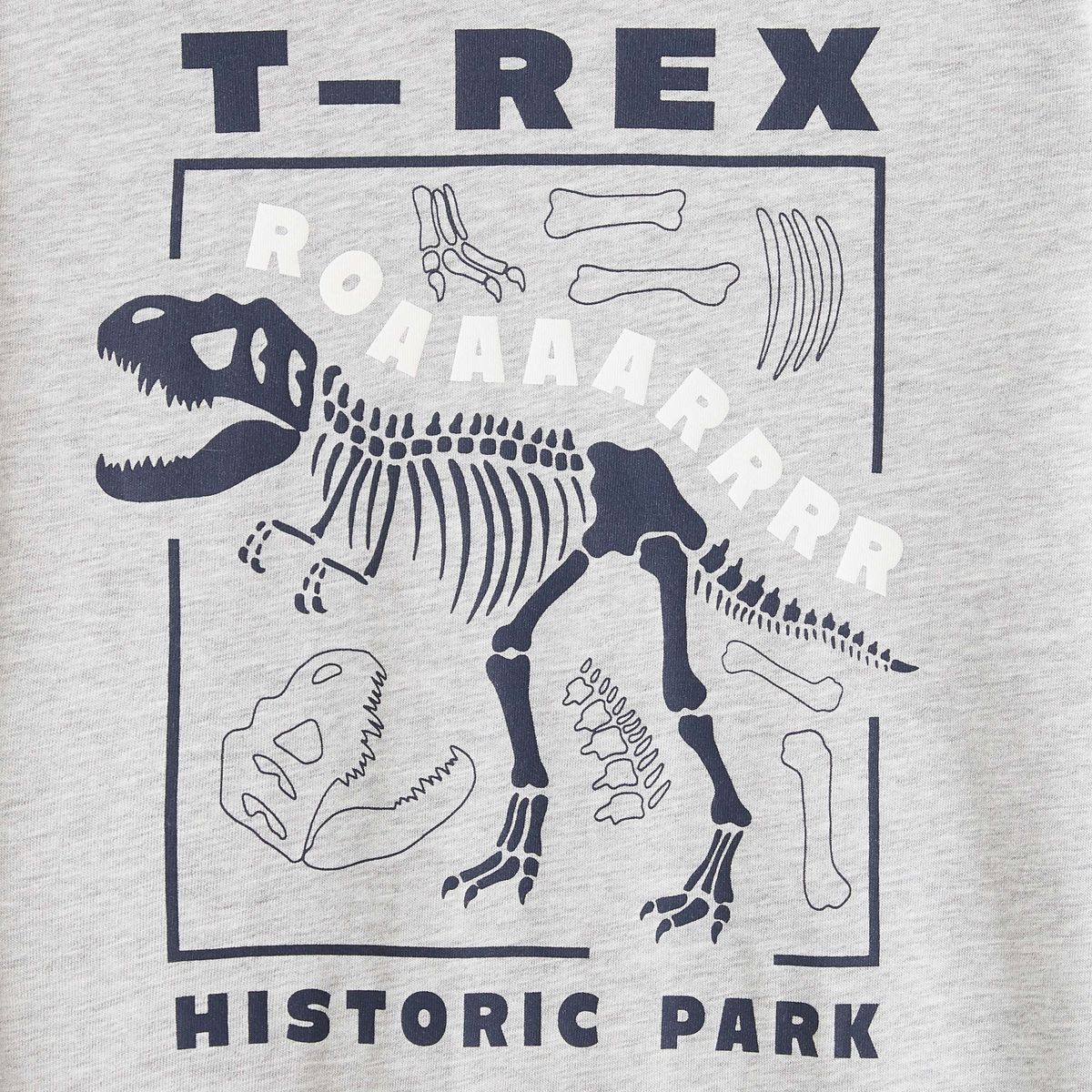 IN EXTENSO Sous pull dinosaure garçon