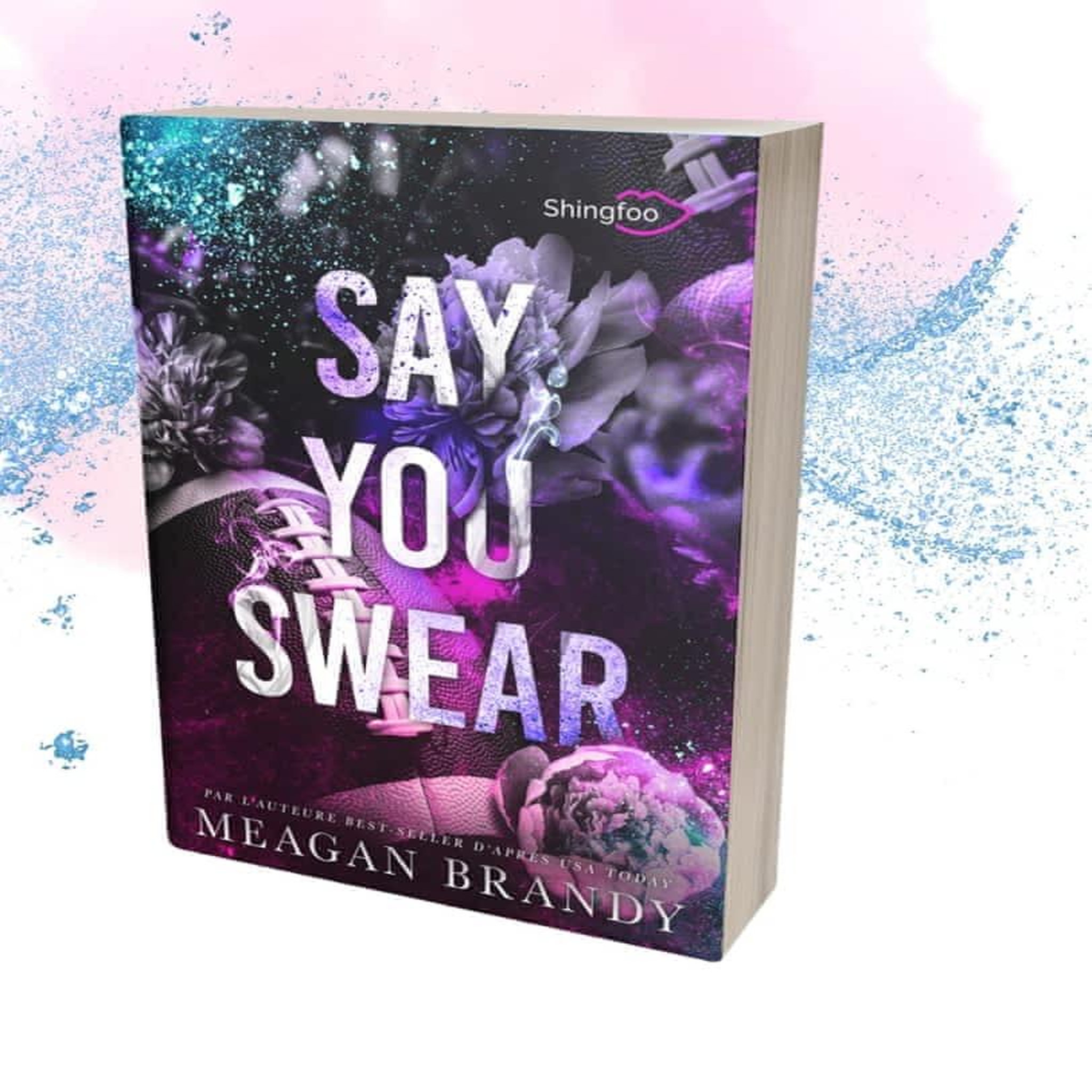 BOYS OF AVIX TOME 1 : SAY YOU SWEAR, Brandy Meagan