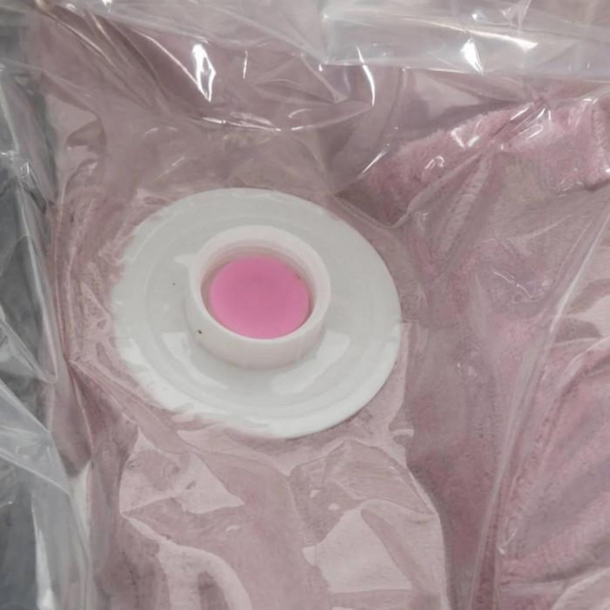 Bag'n Store Boîte de rangement et Sac compresseur - Taille S