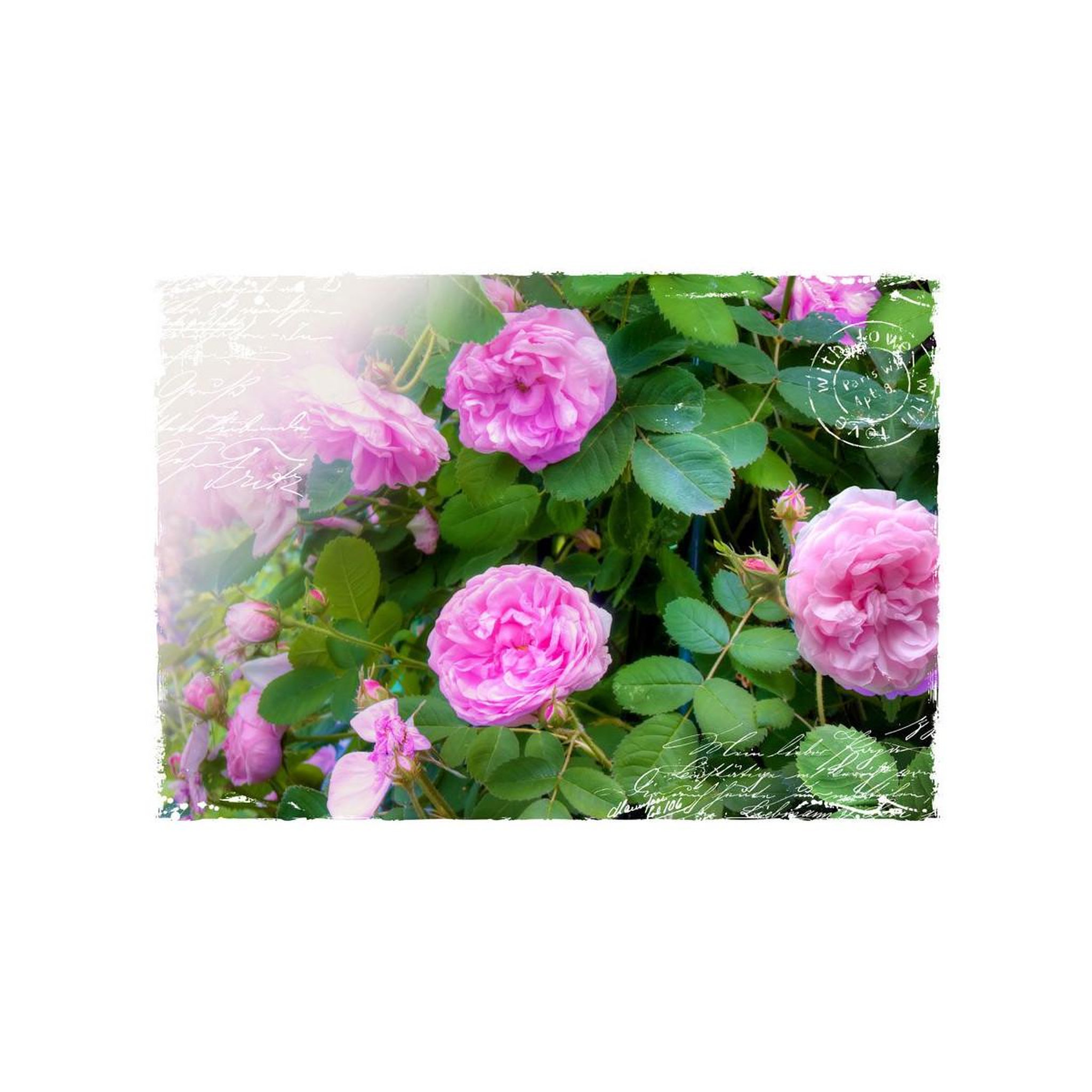 Voir la diapositive 2 : Paris Prix Papier Peint  Summer Garden