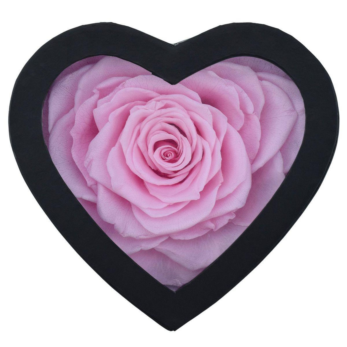 SC CRYSTAL Coffret cœur décoré d'une rose éternelle rose en forme de cœur
