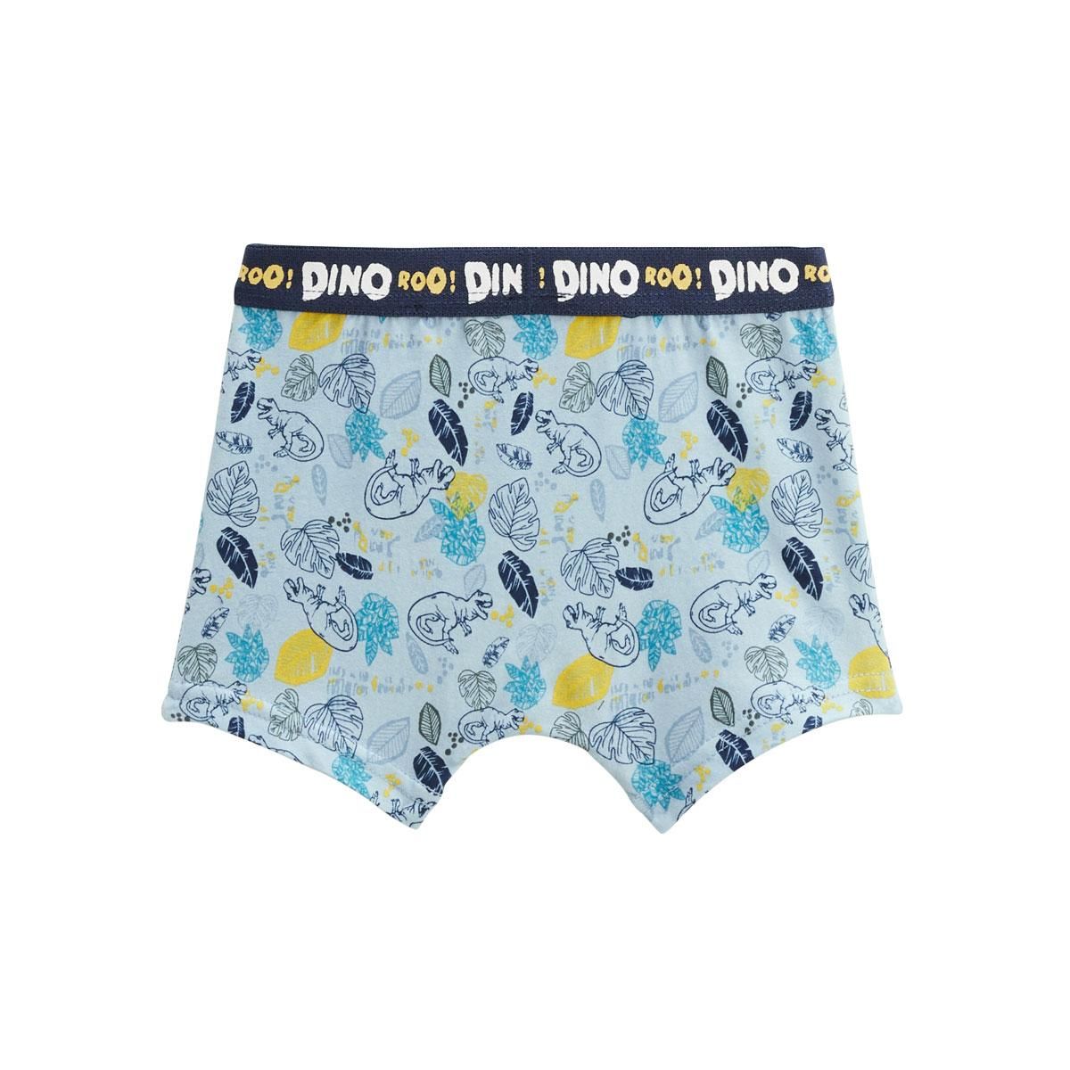 Petit Béguin Lot de 2 boxers garçon Dino