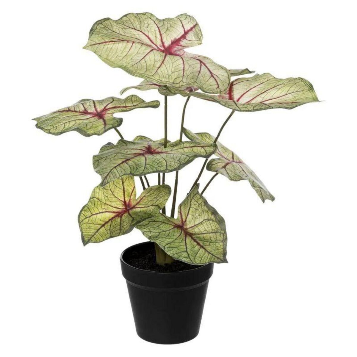  Plante Artificielle en Pot  Caladium  41cm Vert Clair