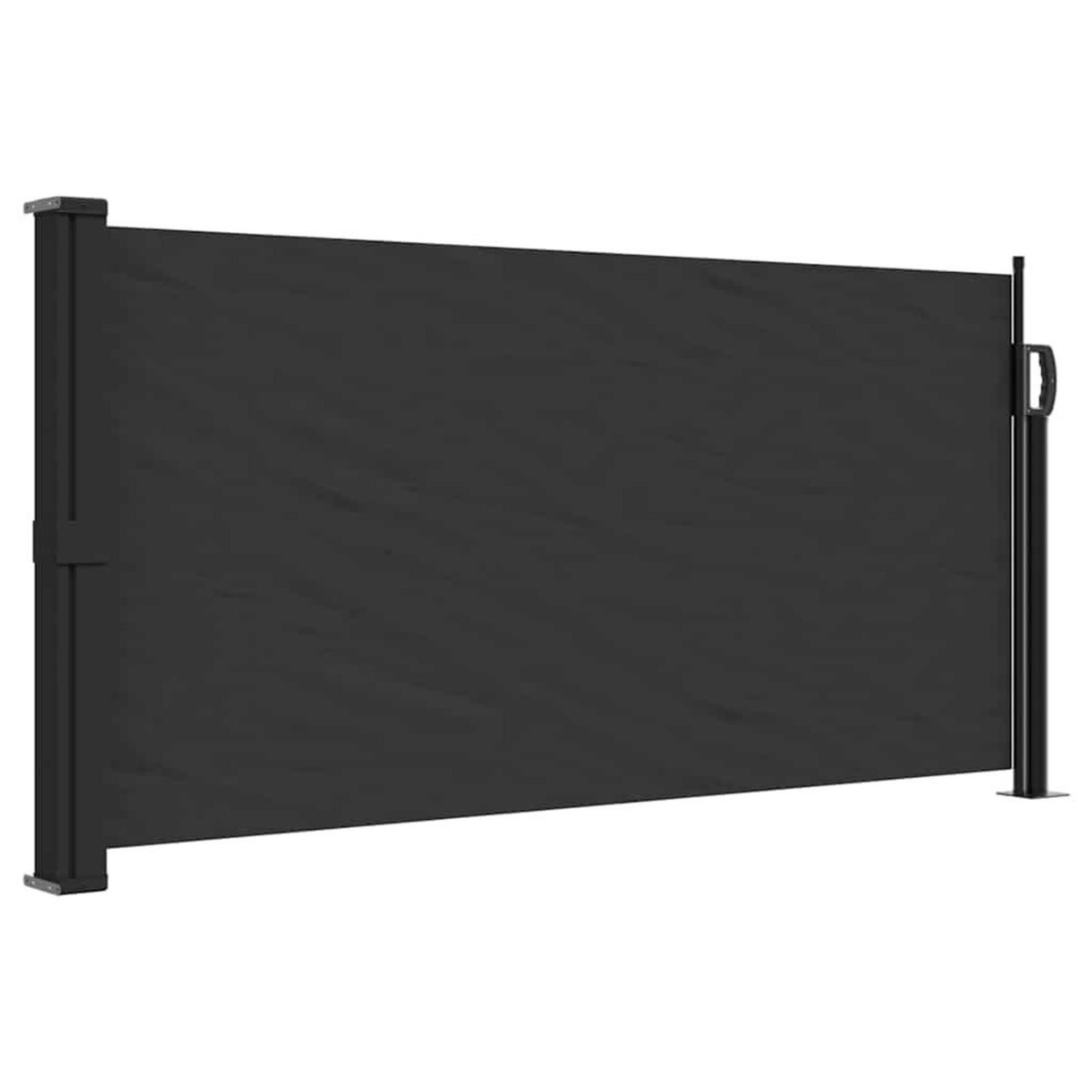 VIDAXL Auvent lateral retractable noir 100x300 cm