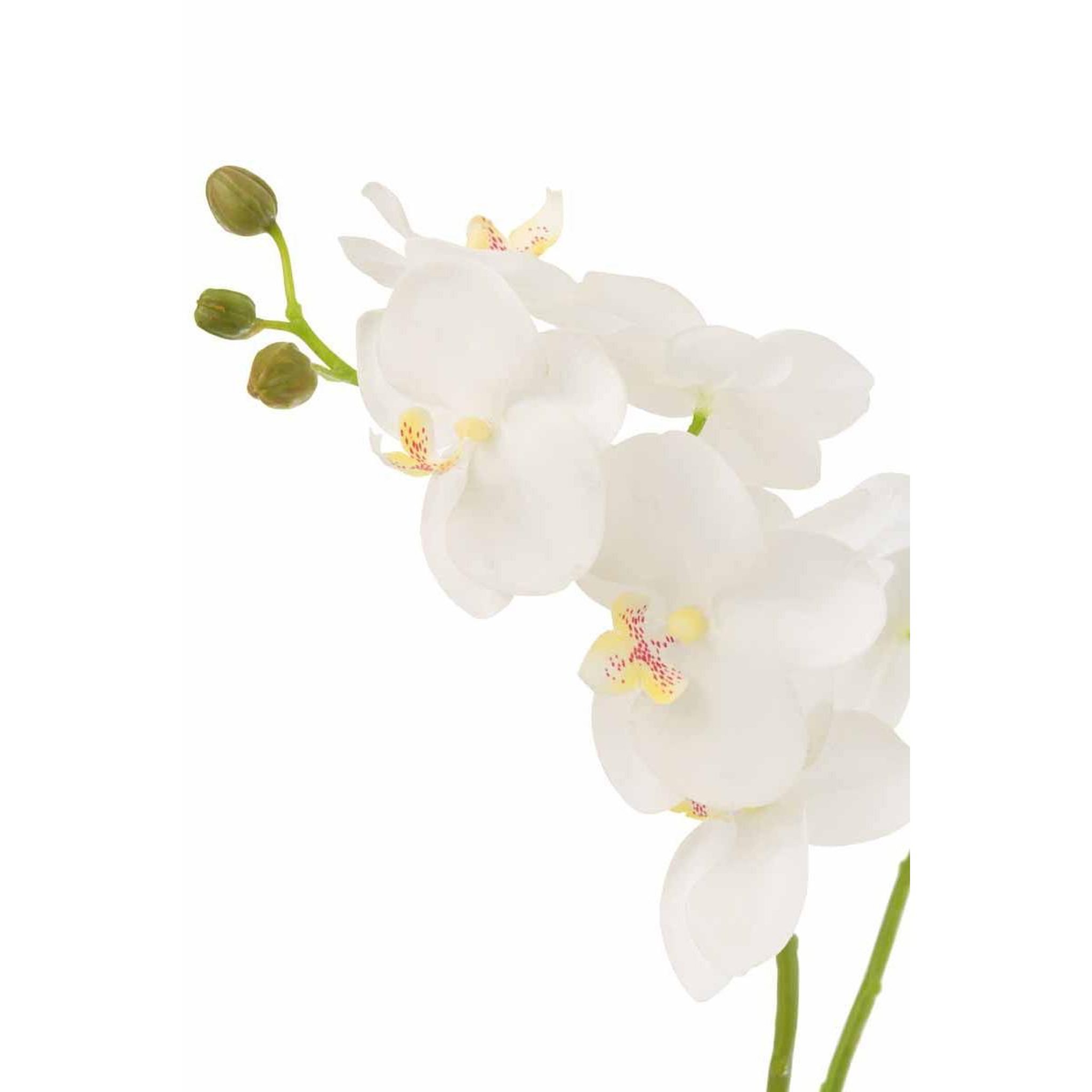 Voir la diapositive 2 : J-LINE Fleur artificielle déco  orchidée en terre  54cm blanc