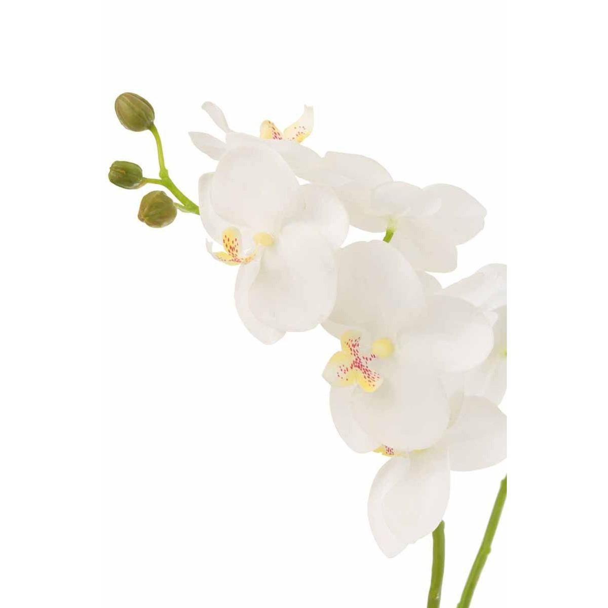 Paris Prix Fleur Artificielle Déco  Orchidée en Terre  54cm Blanc