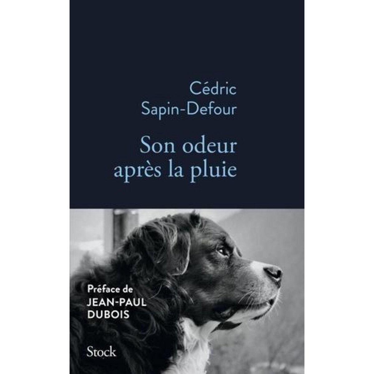  SON ODEUR APRES LA PLUIE, Sapin-Defour Cédric