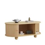 MERAX Table Basse Avec 2 Portes Coulissantes