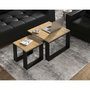 Voir la diapositive 5 : BEST MOBILIER Donnely - lot de 2 tables basses - effet bois et noir - 60 et 38 cm