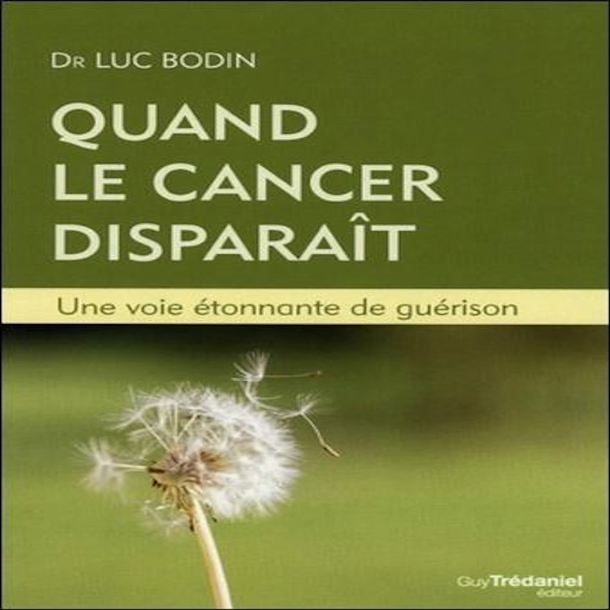 QUAND LE CANCER DISPARAIT. UNE VOIE ETONNANTE DE GUERISON, 2E EDITION, Bodin Luc