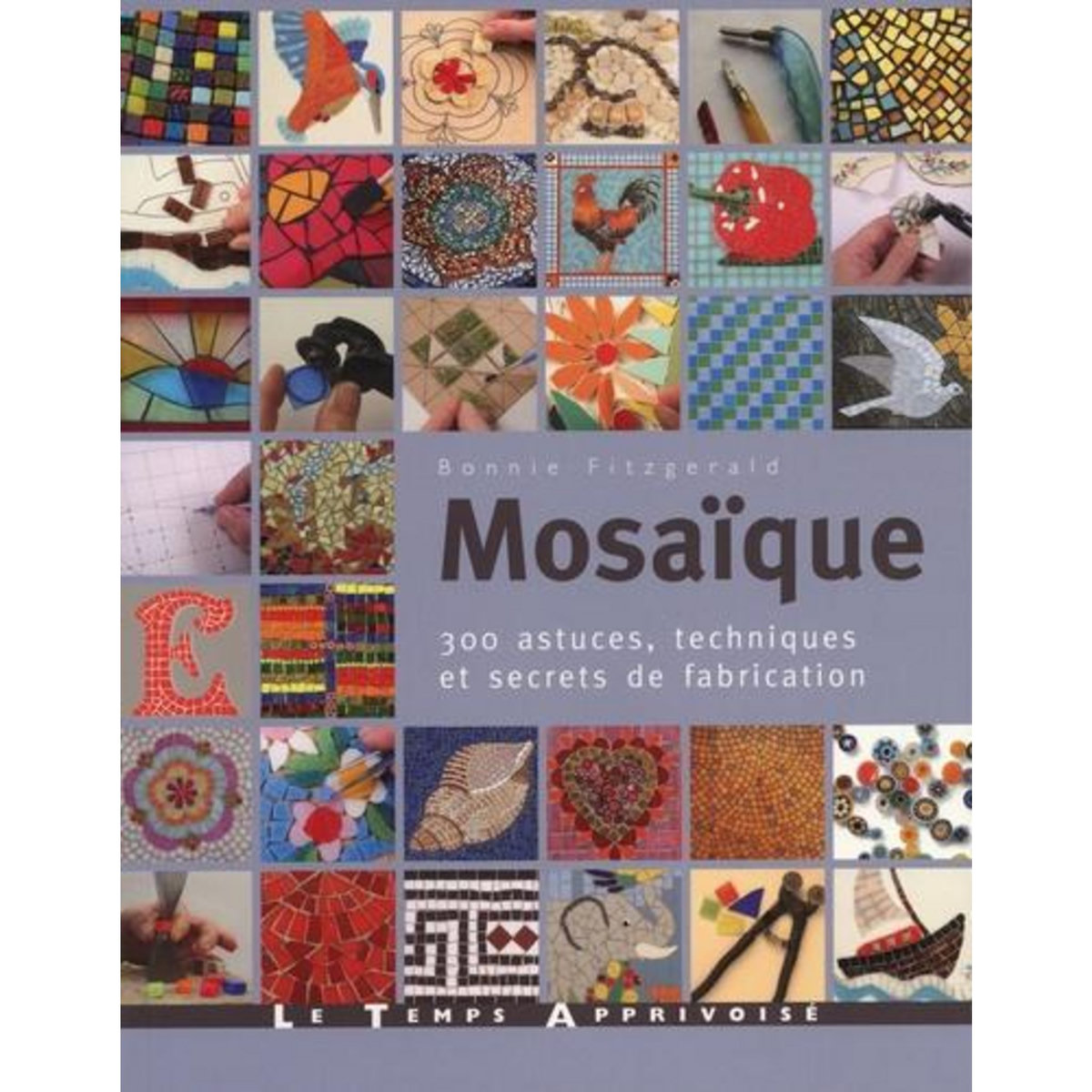 MOSAIQUE. 300 ASTUCES, TECHNIQUES ET SECRETS DE FABRICATION, Fitzgerald Bonnie
