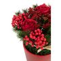 Voir la diapositive 2 : Paris Prix Composition Florale Pot  Roses & Baies  25cm Rouge