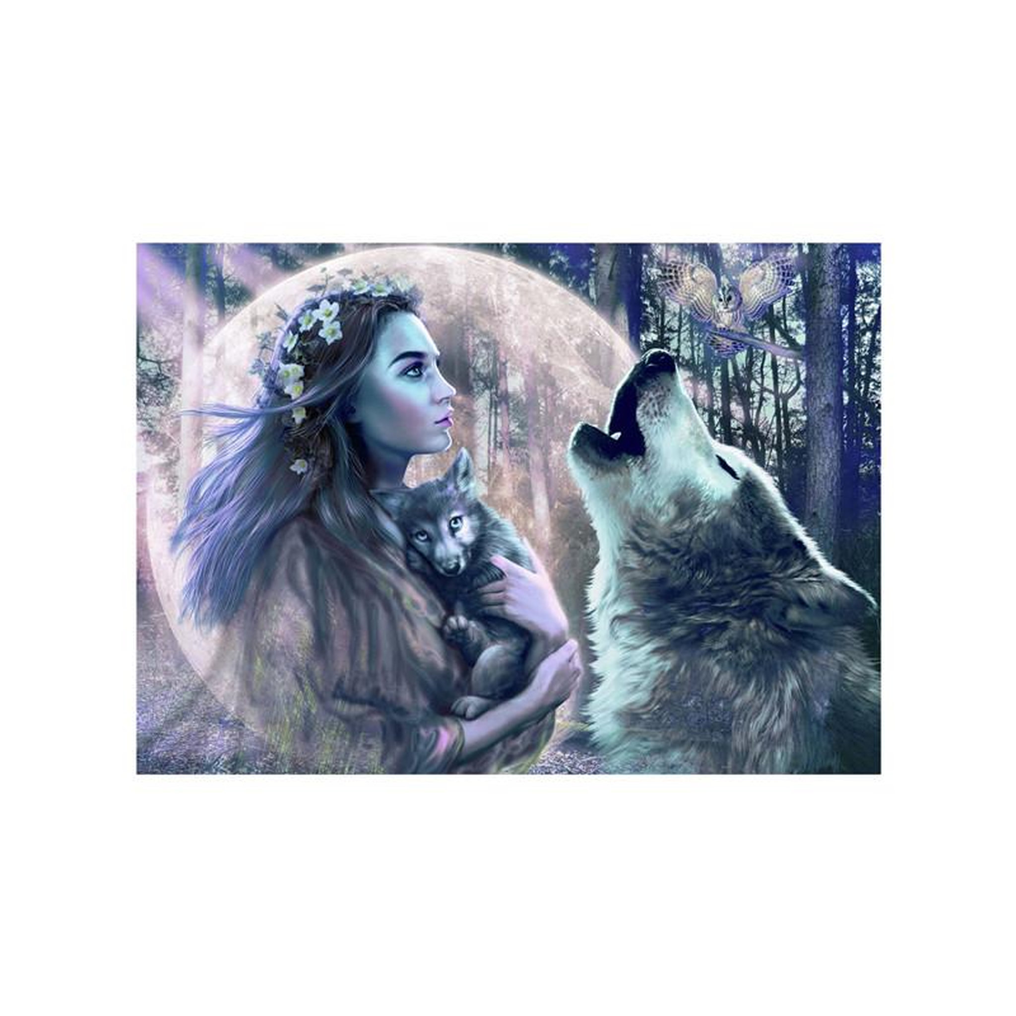 Voir la diapositive 2 : RAVENSBURGER Ravensburger - Jigsaw puzzle Magic of Moonlight, 1000 pcs. 120006213
