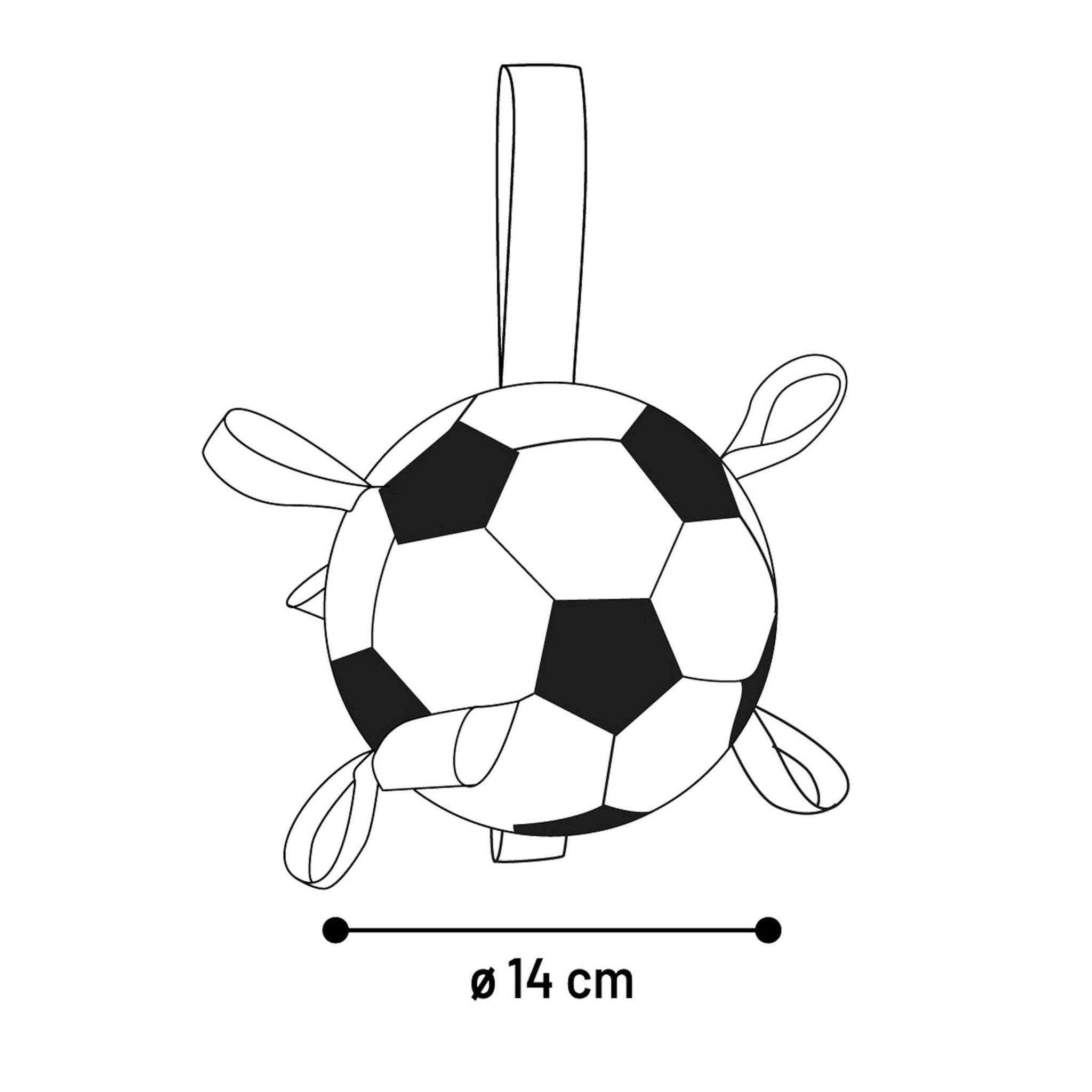 Voir la diapositive 6 : Eden Ballon de football flottant avec rubans pour chien