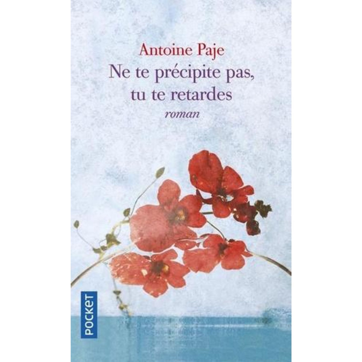 NE TE PRECIPITE PAS, TU TE RETARDES, Paje Antoine