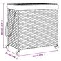 Voir la diapositive 6 : VIDAXL Panier a linge avec roulettes 60x35x60,5 cm resine tressee