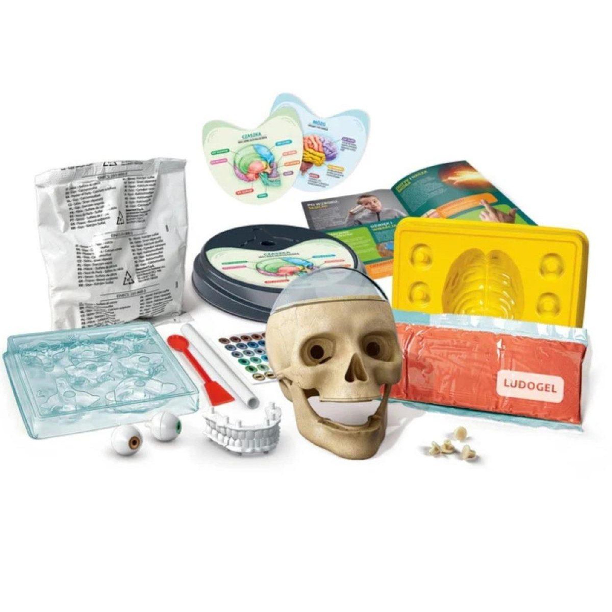 Voir la diapositive 4 : CLEMENTONI Coffret scientifique  50697 science  and  jeu - anatomie déjantée