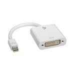 V7 Adaptateur V7 Mini DisplayPort vers DVI-D - CBL-MD1WHT-5E