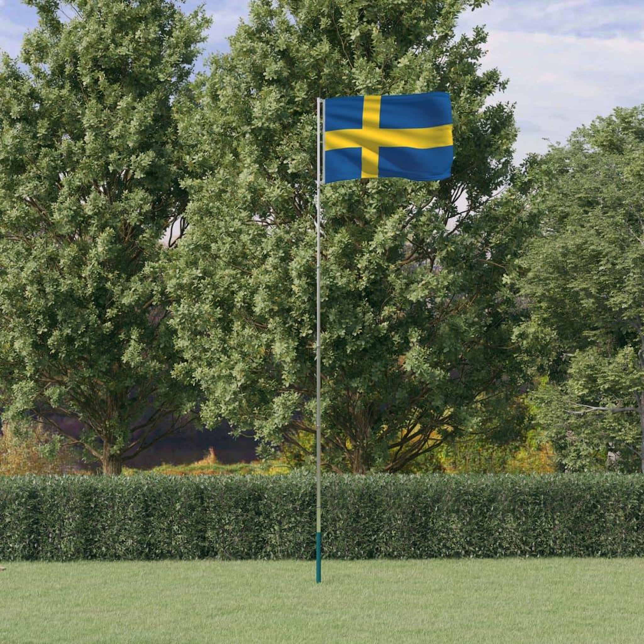 VIDAXL Drapeau de la Suede et mat 5,55 m Aluminium