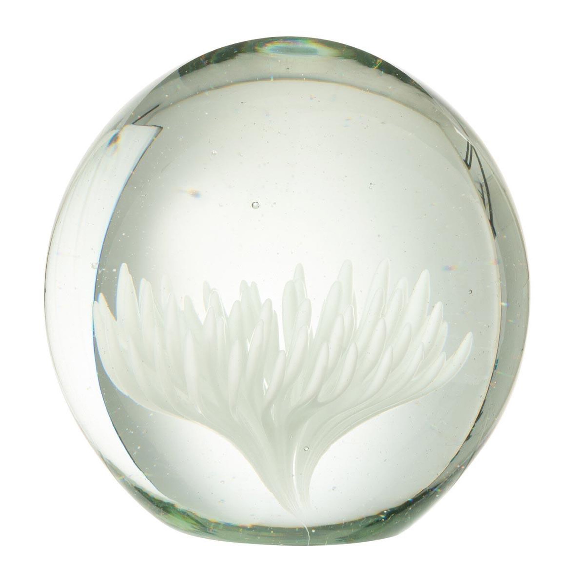 J-LINE Presse-papier fleur en verre  aster  10cm blanc