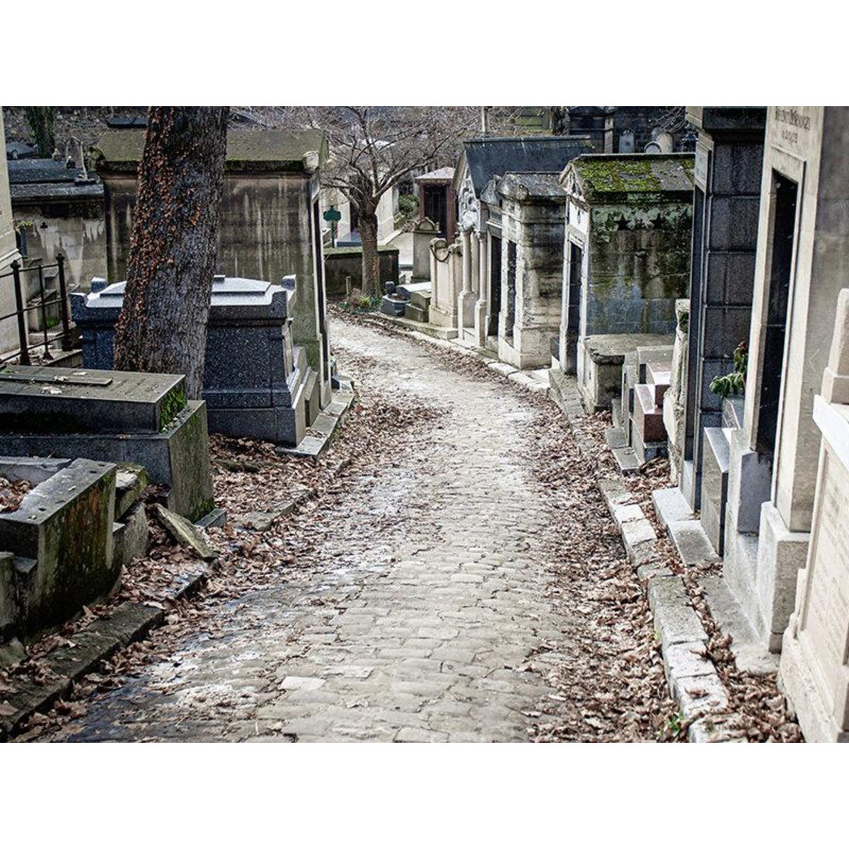 Smartbox Visite guidée du cimetière du Père Lachaise pour 2 personnes à Paris - Coffret Cadeau Sport & Aventure