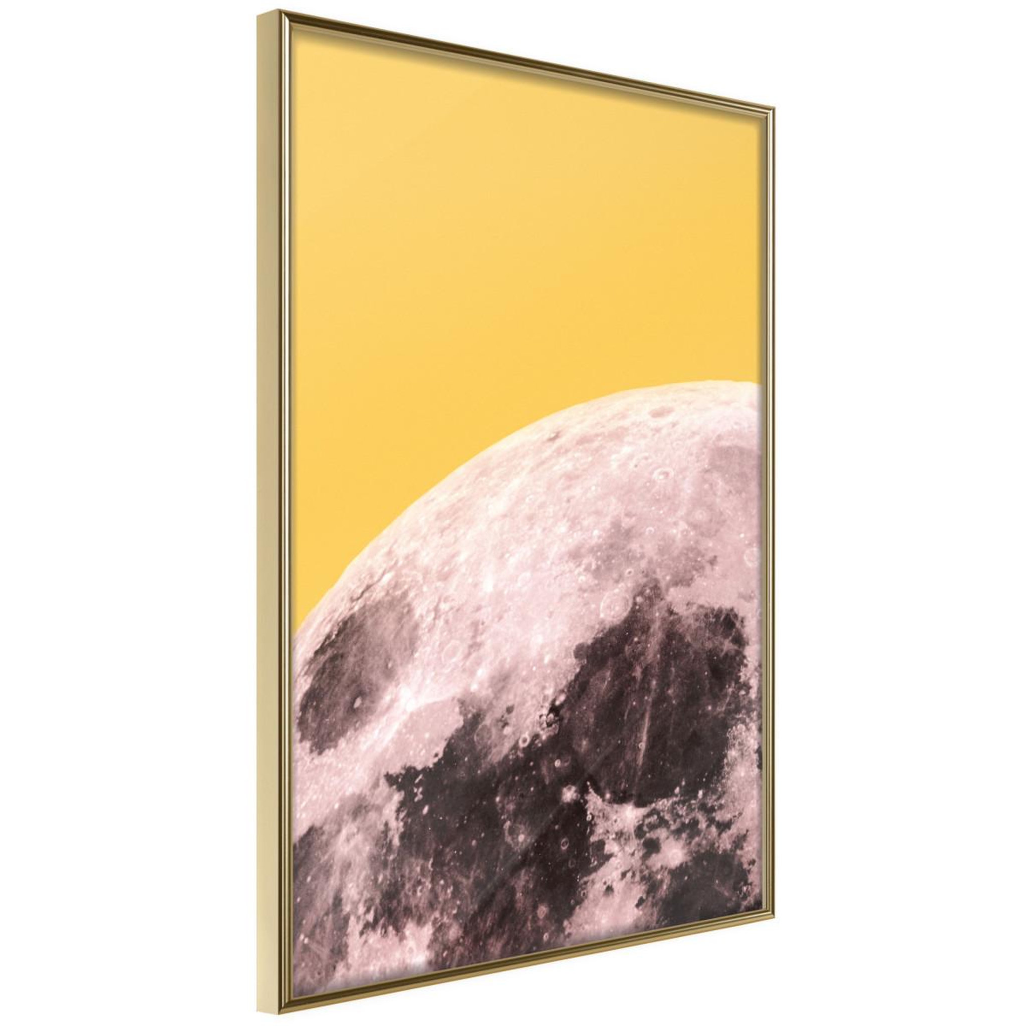 Paris Prix Affiche murale encadrée  pink moon