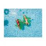Voir la diapositive 2 : AIRMYFUN Matelas Gonflable d'Eau Géant, Ultra Confort, pour Piscine & Plage - Cactus - Longueur 120 cm