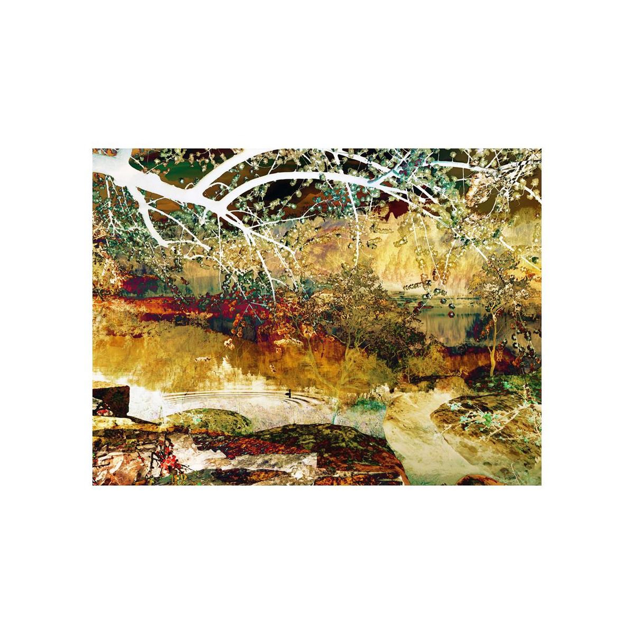 Voir la diapositive 2 : Paris Prix Papier Peint  River of Life