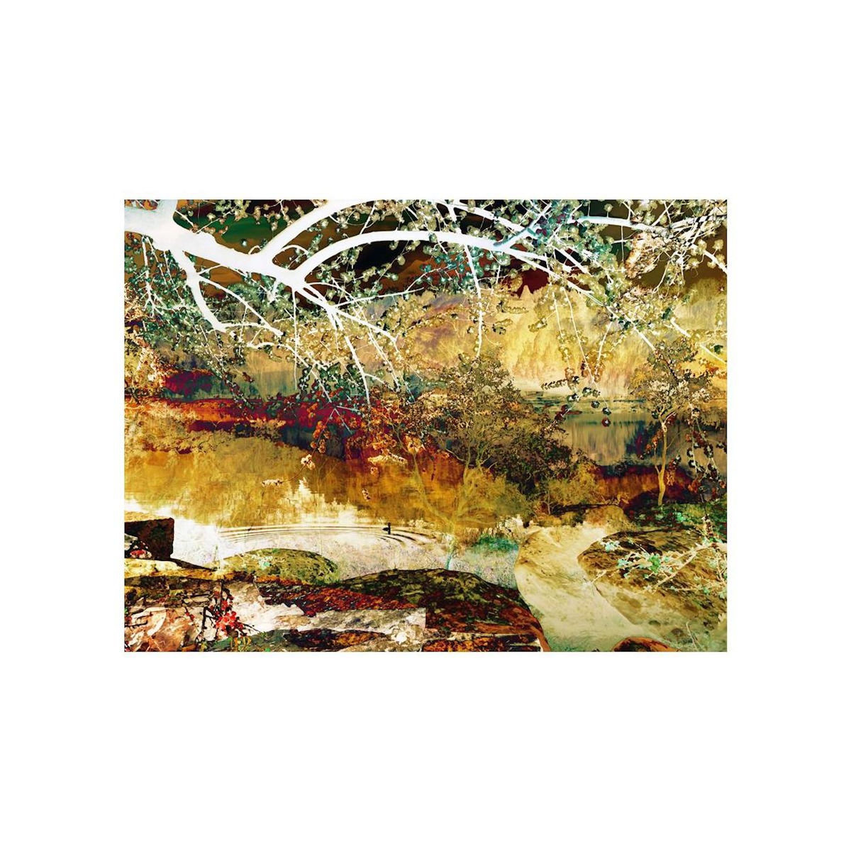 Paris Prix Papier Peint  River of Life