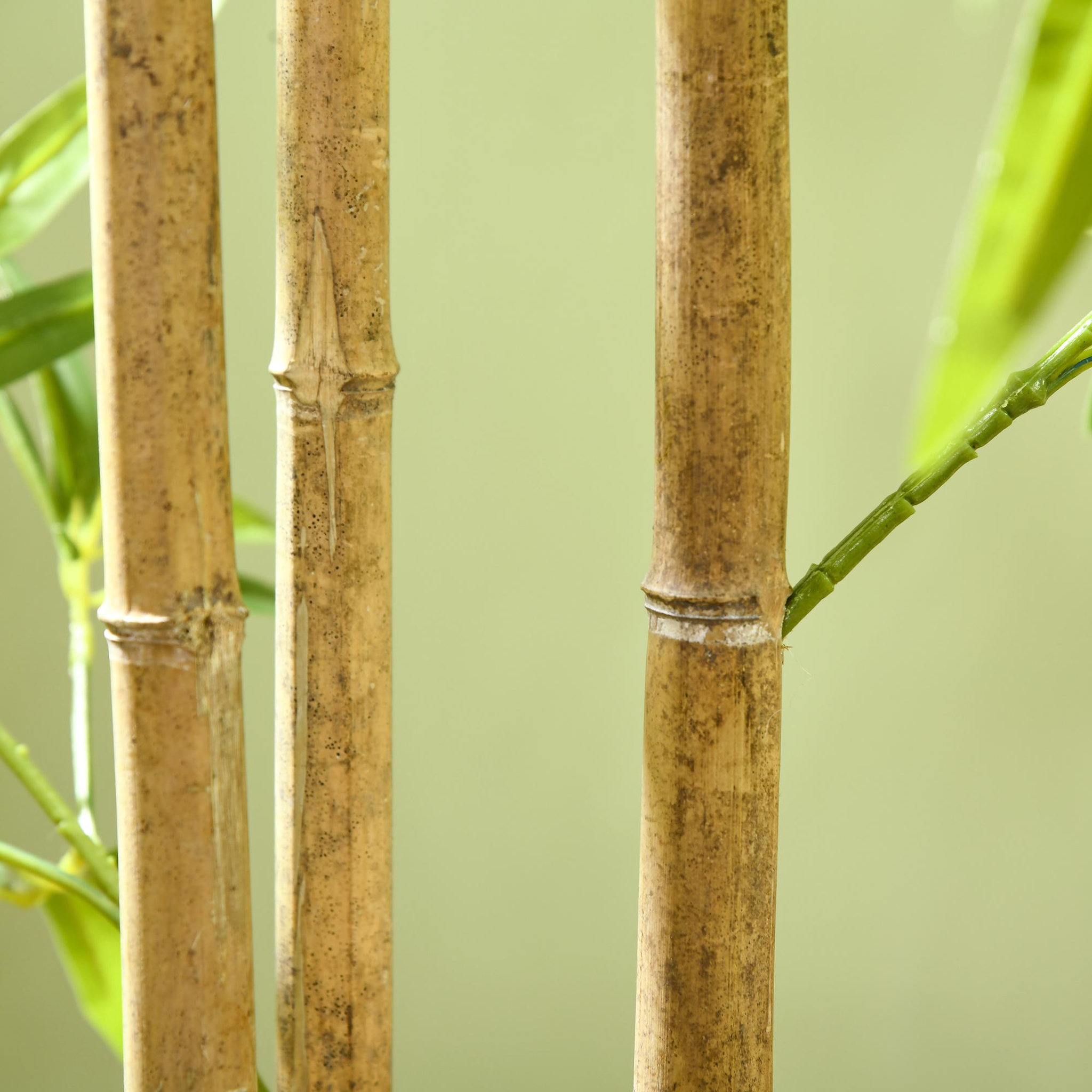Voir la diapositive 5 : HOMCOM Bambou artificiel 1,80H m - plante artificielle - 830 feuilles réalistes, vrais troncs - pot inclus