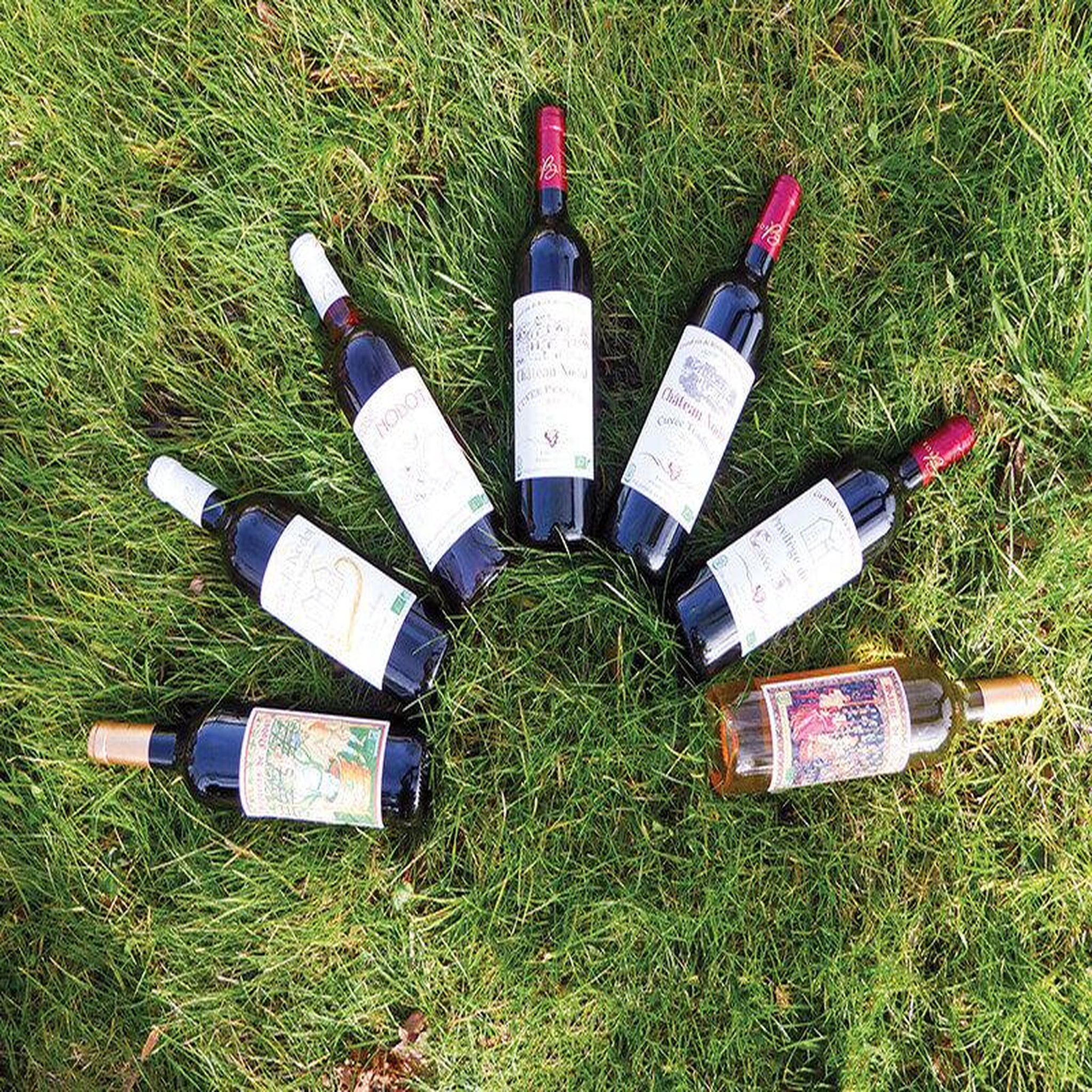 Voir la diapositive 2 : Smartbox Atelier initiation et dégustation vin biologique dans un domaine viticole - coffret cadeau gastronomie