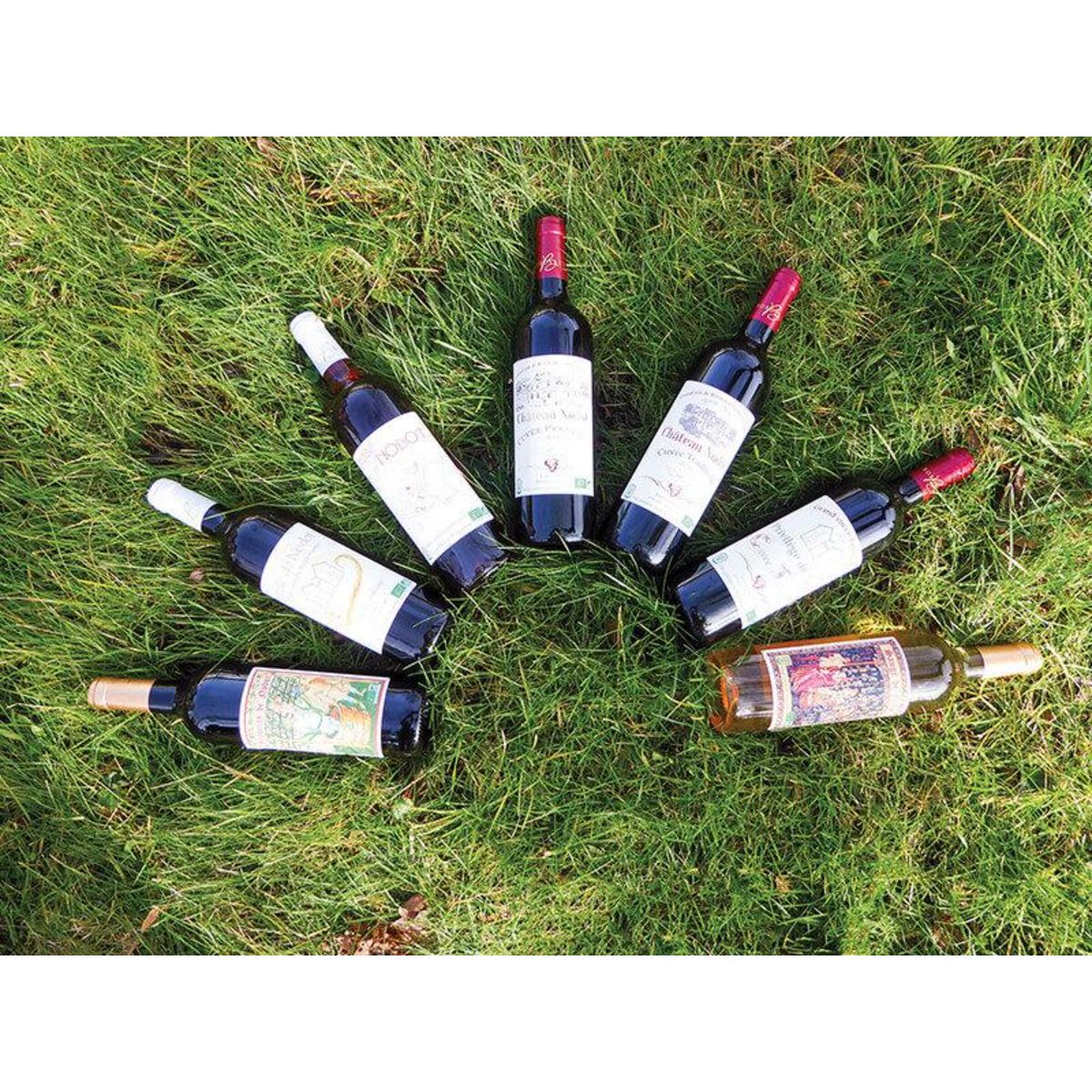 Smartbox Atelier Initiation et Dégustation Vin Biologique dans un domaine viticole - Coffret Cadeau Gastronomie