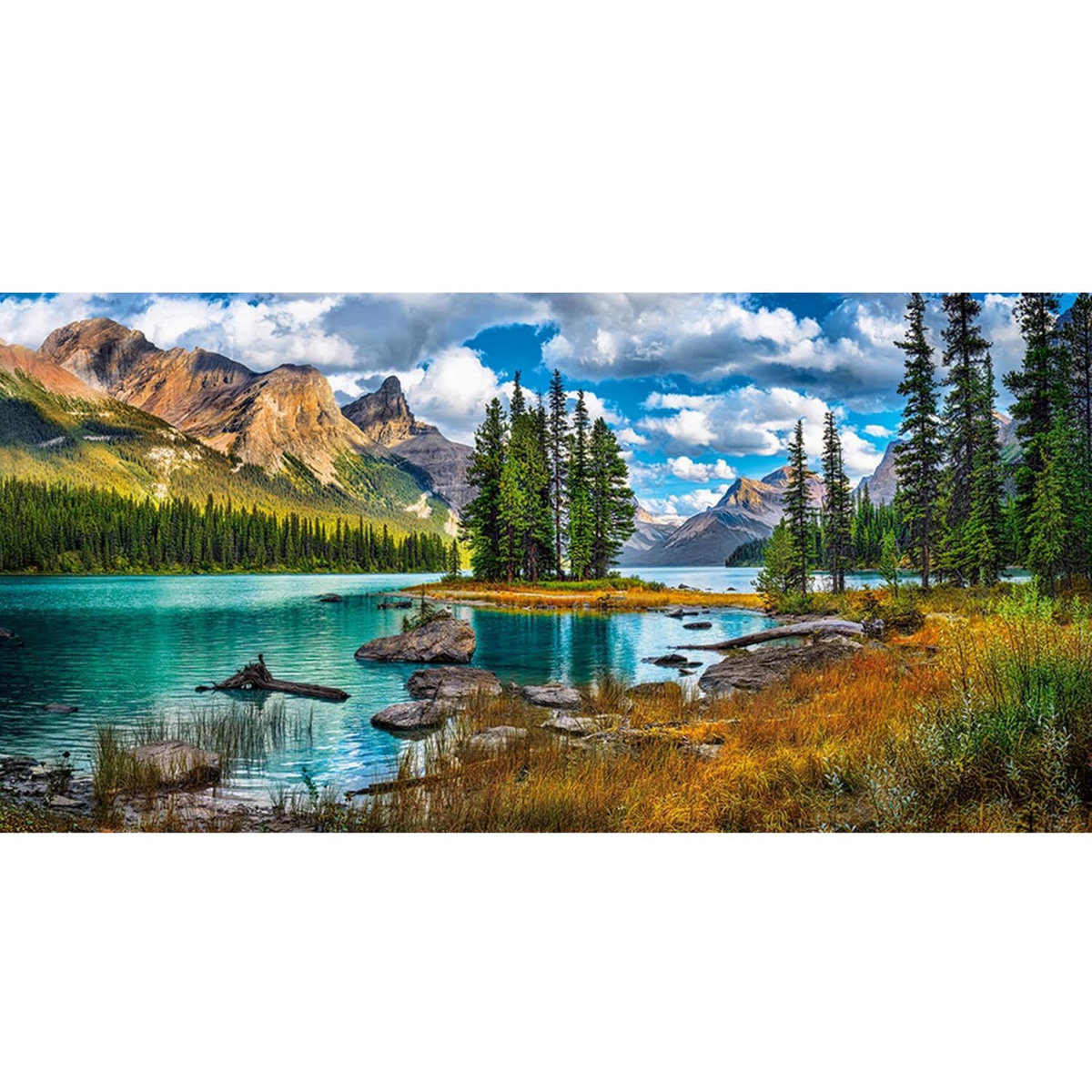 Castorland Puzzle 4000 pièces : L'esprit Islandais