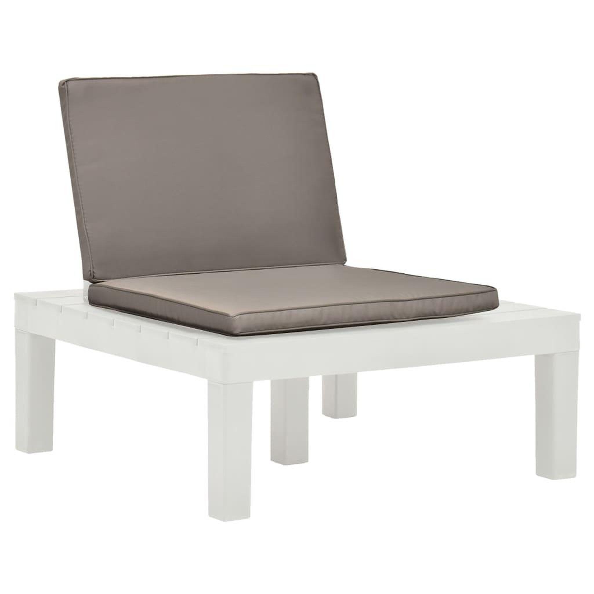 Voir la diapositive 2 : VIDAXL Chaises de salon de jardin et coussins lot de 2 Plastique Blanc