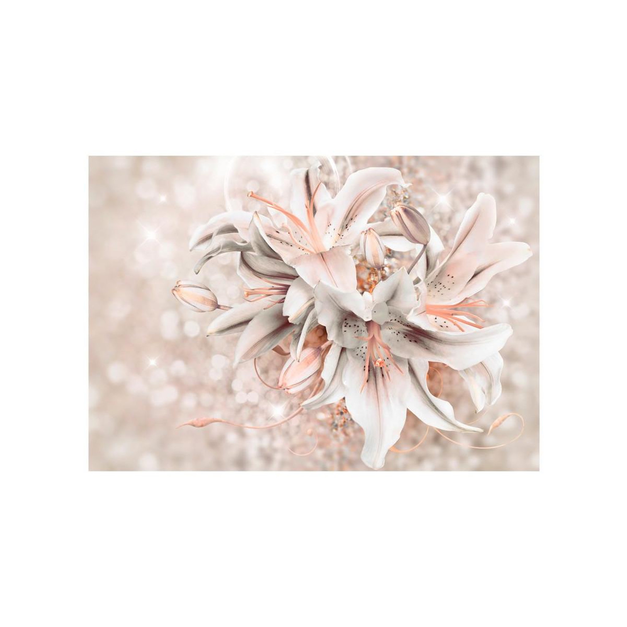 Voir la diapositive 2 : Paris Prix Papier peint  bouquet of elegance
