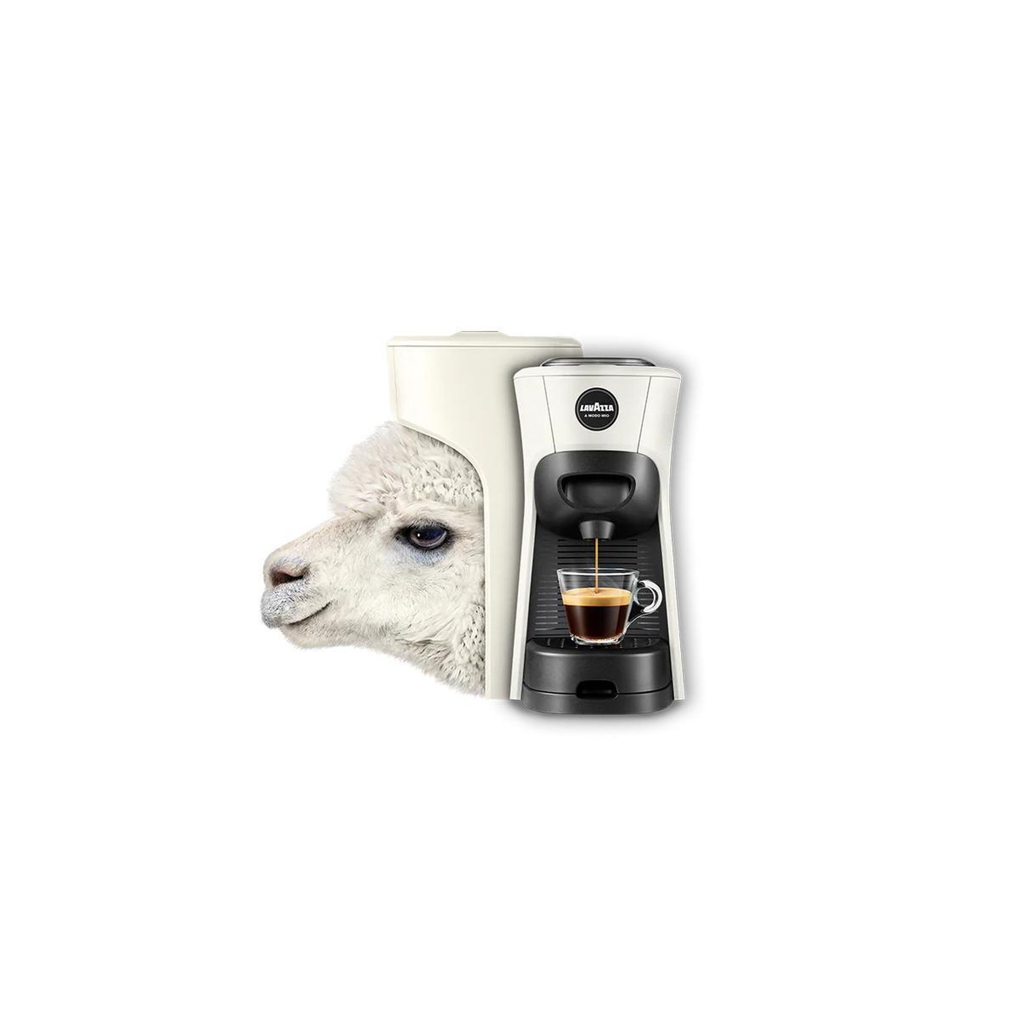 Voir la diapositive 3 : LAVAZZA Machine à café à capsules manuelle automatique Lavazza LM 840 Tiny Eco 0,6 L Blanc Noir