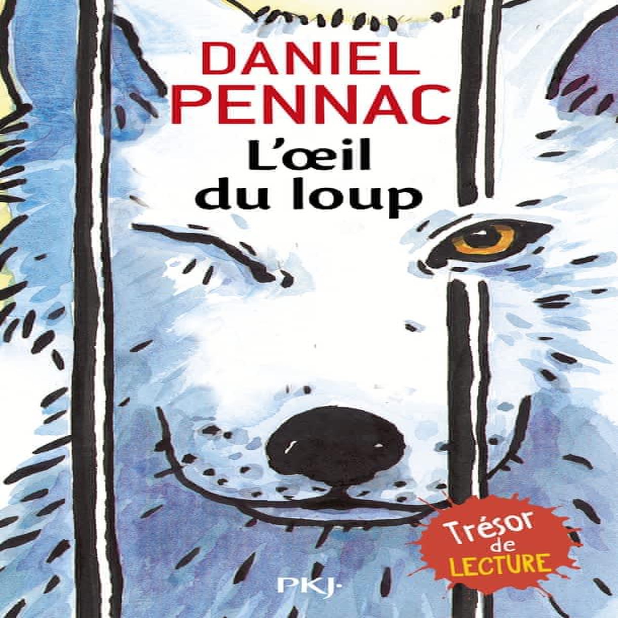 L'OEIL DU LOUP, Pennac Daniel