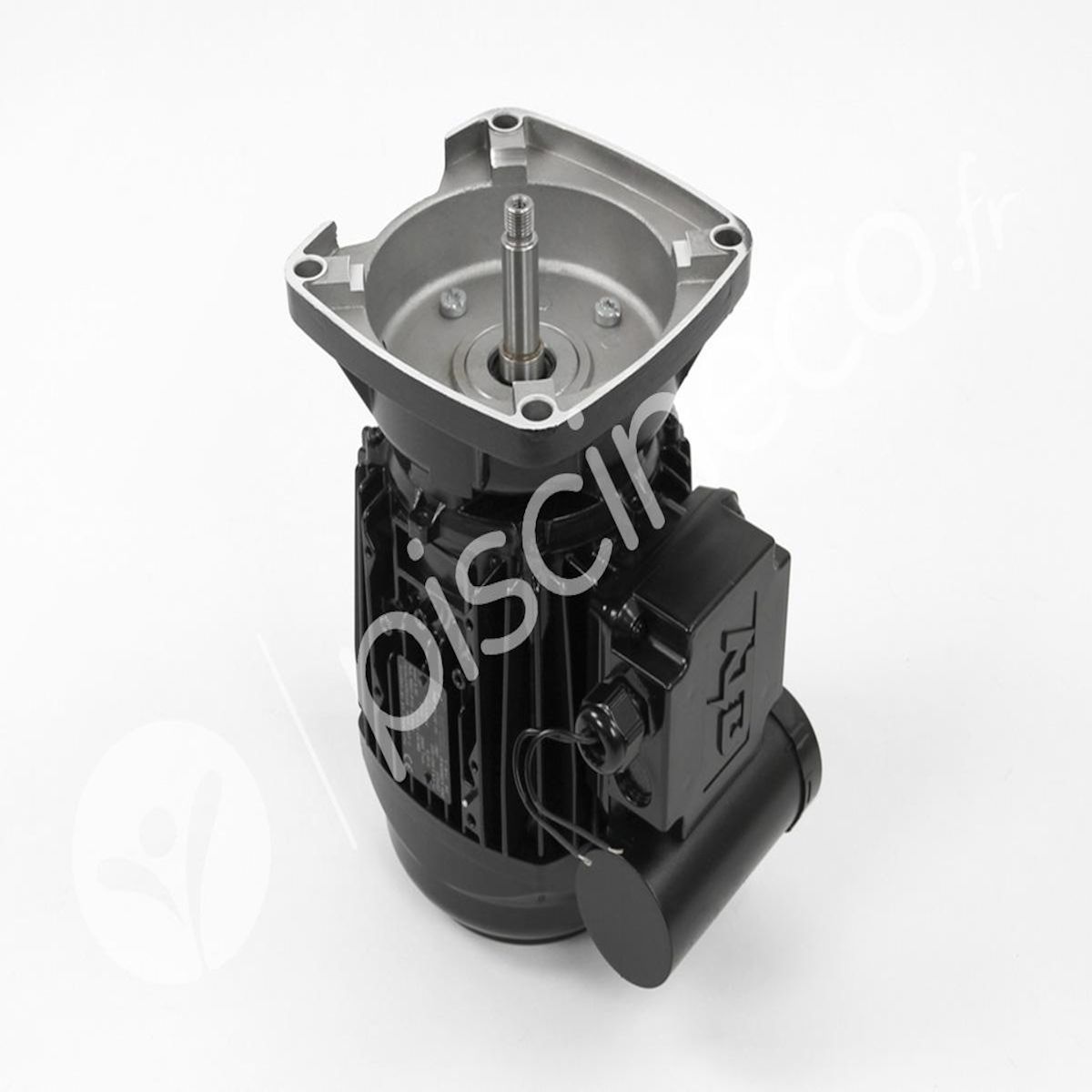 Pentair Moteur pour pompes La Sta-Rite 1 CV Mono - Pentair