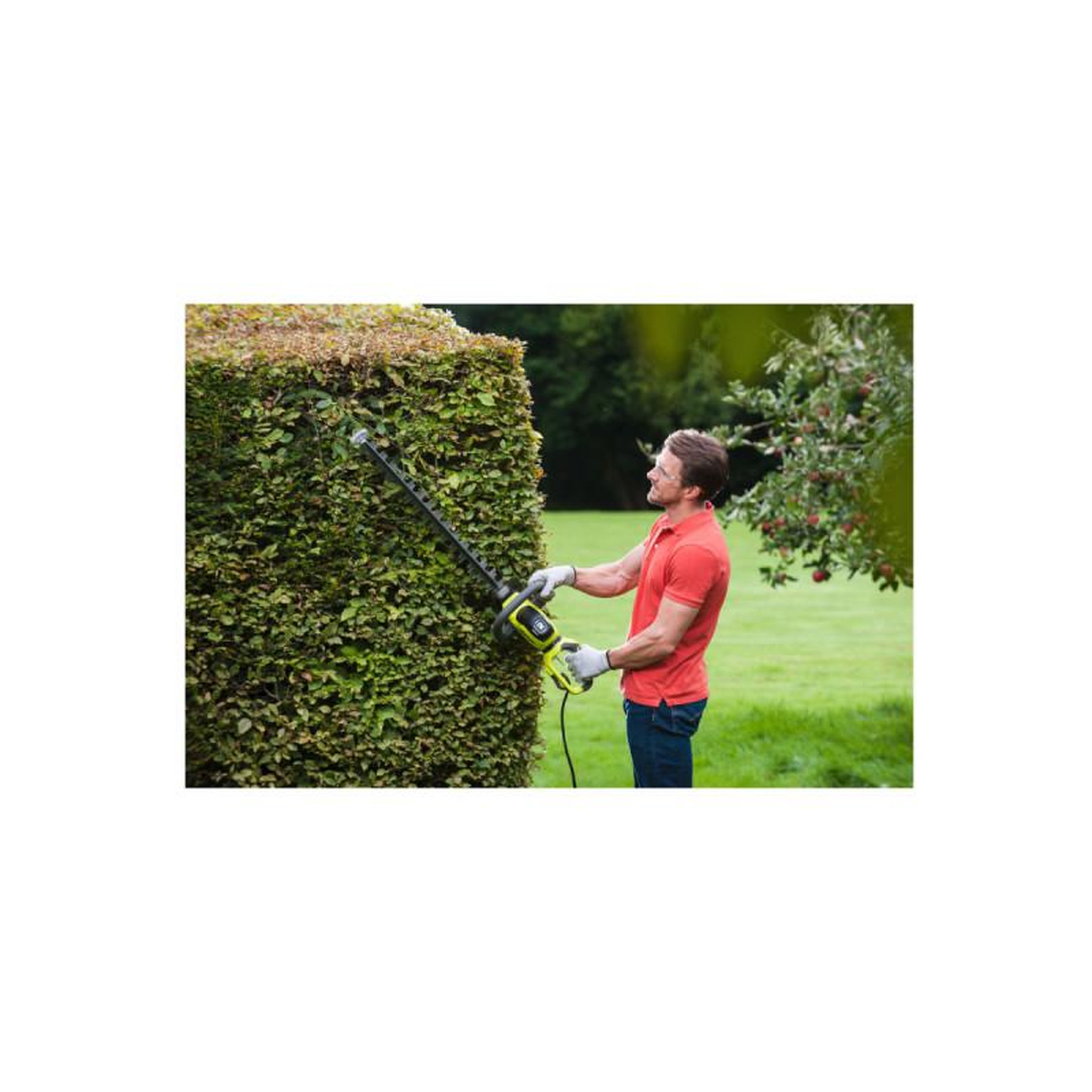 Voir la diapositive 2 : Ryobi Taille-haies électrique ryobi 600w rht6160rs