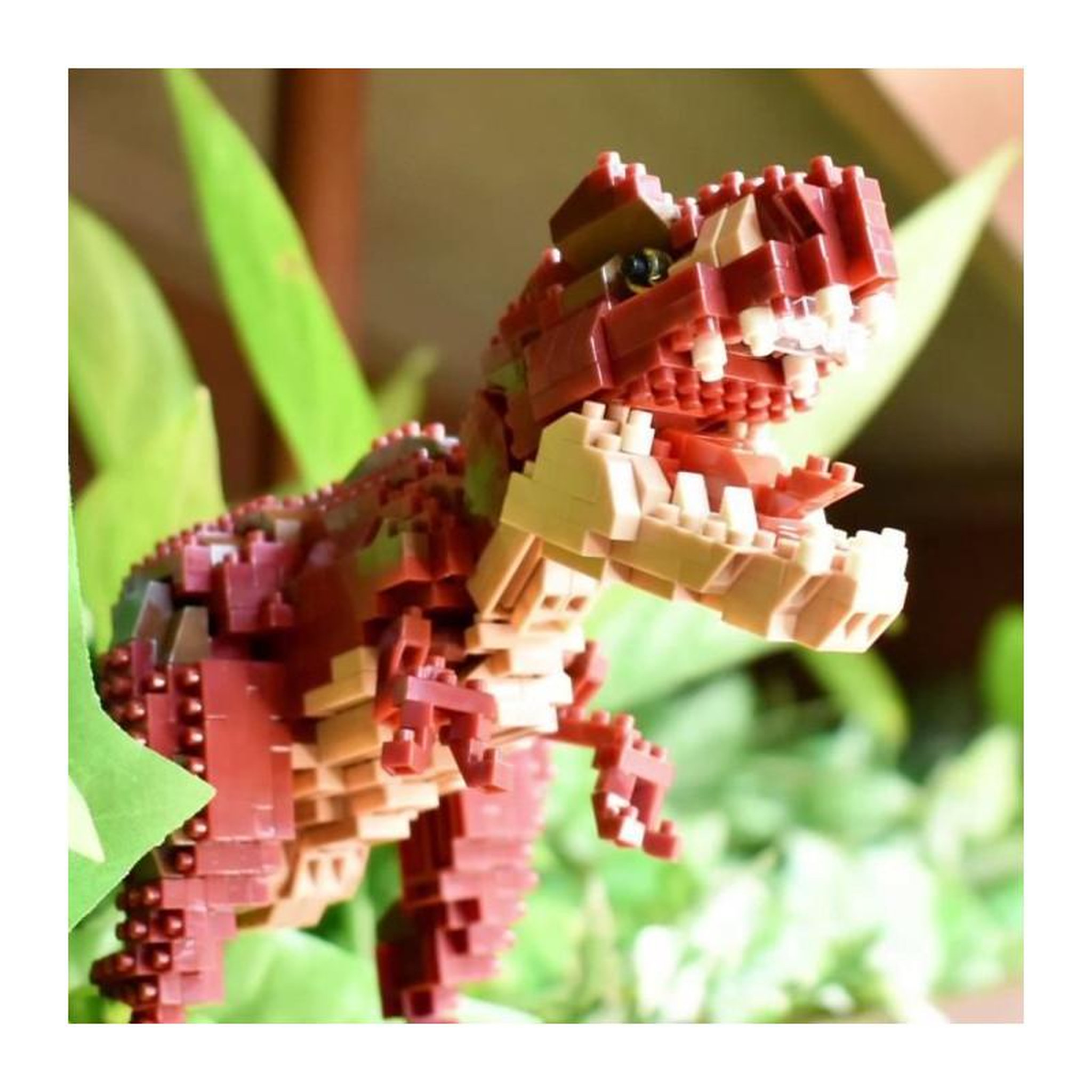 Voir la diapositive 2 : BANDAI Figurine en briques - BANDAI - NANOBLOCK - Tyrannosaurus Rex Deluxe - 850 pcs