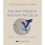 INSTANT PRESENT INSTANT PRECIEUX, Nhat Hanh Thich